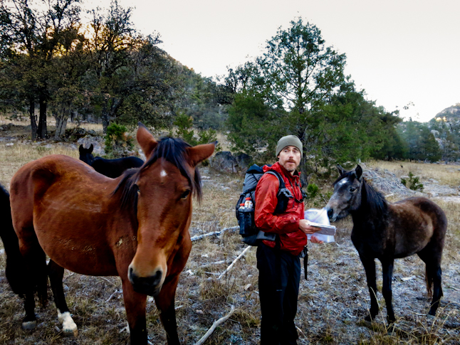 Doing some navigating on the frosty morning with some wild horses trying to show us the way. ／凍り付いた朝、野生の馬に道を尋ねる