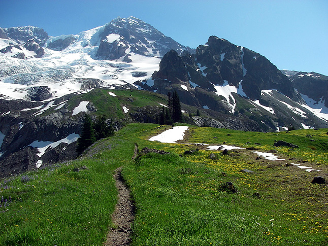 In good weather, hiking the Wonderland Trail can be like a dream.