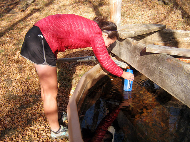ノースダコタ州バッドランドズのマーダーヘイトレイルにある家畜用のかいばおけから水を飲む