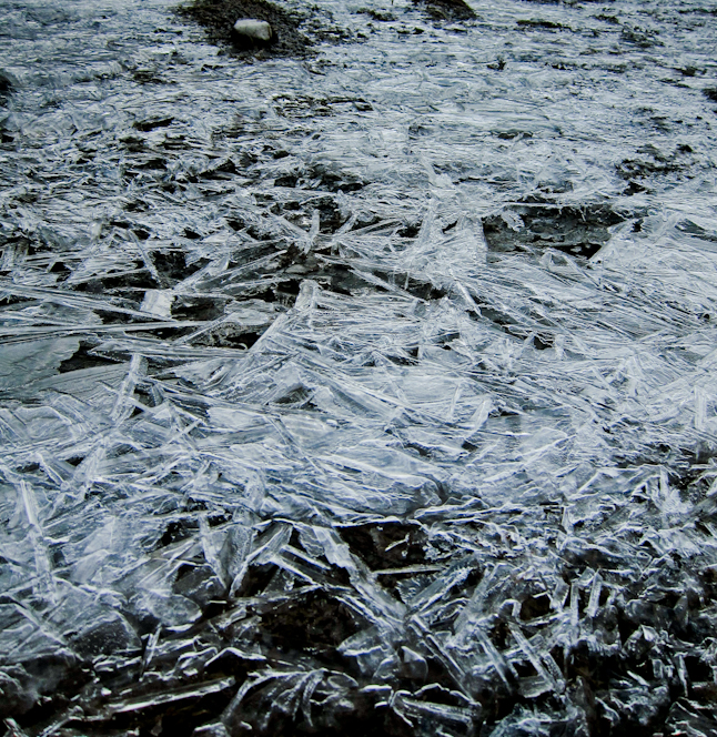 凍りついた朝の小川。A mountain stream on a chilly morning.