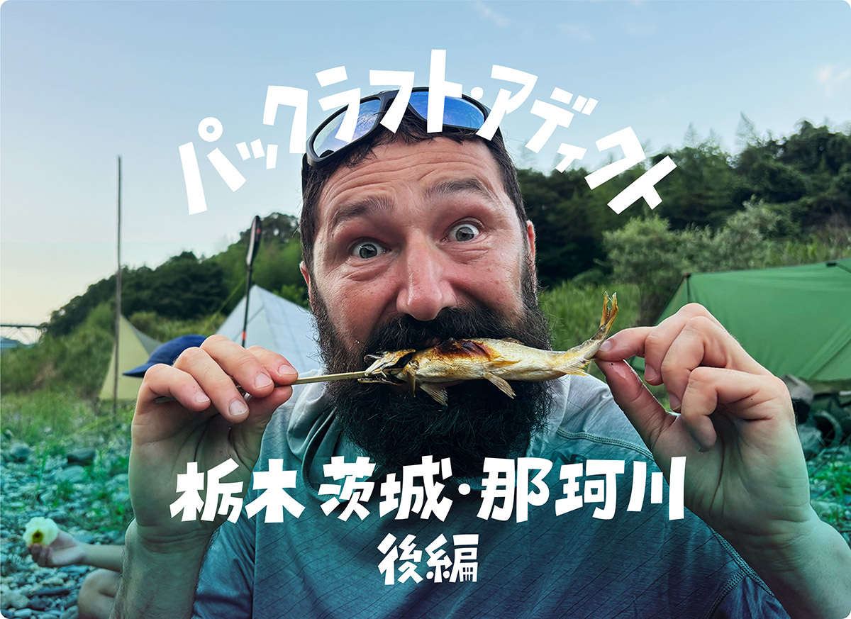 article_image